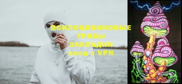 jwh Гусь-Хрустальный