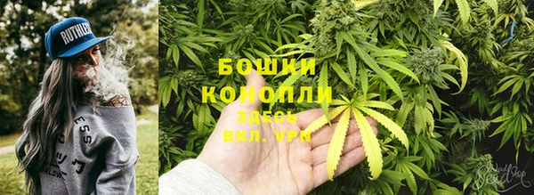 каннабис Гусев