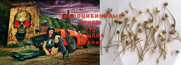 jwh Гусь-Хрустальный